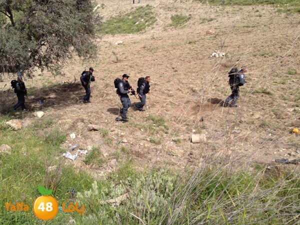 qudszra3aztoon330 (2).JPG